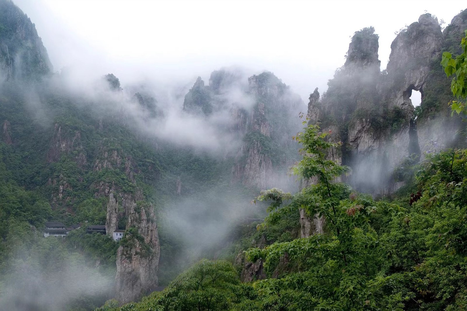 平陽南雁蕩山項(xiàng)目.jpg